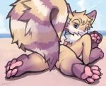  absurd_res anthro beach canid canine chibi fox hi_res invalid_tag kemono lying male mammal on_front pawpads paws seaside solo tail yarney 