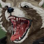  1:1 ambiguous_gender anthro artist_name black_clothing black_nose black_topwear bodily_fluids brown_body brown_eyes brown_fur bust_portrait clothed clothing drooling fangs fur glistening glistening_eyes green_background grey_body grey_fur low_res mammal mouth_shot open_mouth portrait procyonid raccoon red_tongue roobin saliva saliva_on_tongue saliva_string sharp_teeth simple_background solo teeth tongue topwear whiskers 