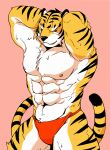  2017 abs absurd_res anthro biceps black_body black_fur black_nose bodily_fluids bulge clothed clothing crouton1335 deep_navel felid fur hands_behind_head hi_res himachi male mammal muscular muscular_anthro muscular_male navel nipples pantherine pecs pose raised_arm simple_background solo standing stripes sweat tiger topless underwear white_body white_fur yellow_body yellow_fur 