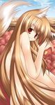  animal_ears apple brown_hair food fruit holo long_hair looking_at_viewer looking_back nozomi_tsubame nude red_eyes smile solo spice_and_wolf tail very_long_hair wolf_ears wolf_tail 