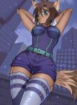 2022 absurd_res anthro artist_name biped blue_clothing blue_eyes breasts brown_body brown_fur brown_hair building canid canine city clothed clothing digital_media_(artwork) female fully_clothed fur hair hands_behind_back hi_res legwear mammal portrait raised_arms shaded skyscraper solo standing tail tekilao thigh_highs three-quarter_portrait 