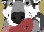  ambiguous_gender ambiguous_pov artist_name black_ears black_nose canid cheek_tuft duo facial_tuft female_(lore) feral first_person_view french_kissing fur glistening glistening_eyes grey_body grey_fur hi_res kissing looking_at_viewer mammal red_tongue roobin simple_background solo_focus tongue tuft whiskers white_body white_fur yellow_eyes 