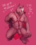  &lt;3 2023 abs anthro balls bedroom_eyes biceps deltoids erection feet flower flower_in_mouth foreskin genitals hand_on_knee hand_on_leg harness hi_res high-angle_view holidays horn leather leather_harness looking_at_viewer male mammal manly muscular muscular_arms muscular_legs narrowed_eyes navel nipples nude pecs penis penis_harness pink_background plant rhinoceros rose_(flower) rose_in_mouth rov seductive simple_background sitting solo text triceps valentine&#039;s_day vein veiny_penis 