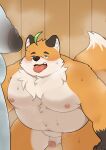  2023 anthro balls belly big_belly blush bodily_fluids canid canine duo erection fox genitals haoming hi_res iyo_(tamacolle) kemono male male/male mammal moobs navel nipples overweight overweight_male penis sauna solo_focus steam sweat tamacolle 