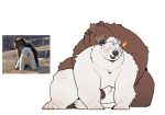  2023 absurd_res anthro bear belly bite black_nose blush brown_body duo ear_bite embrace hi_res hug kemono male male/male mammal moobs overweight overweight_male polar_bear quanjiang real sitting ursine white_body 