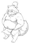  2023 anthro asian_clothing balls barely_visible_balls barely_visible_genitalia belly big_belly canid canine clothing east_asian_clothing fundoshi genitals hi_res hysk japanese_clothing kemono male mammal moobs navel overweight overweight_male raccoon_dog sengoku_puzzle simple_background solo tanuki tokugawa_ieyasu underwear 