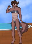  anthro big_tail brown_body brown_fur brown_hair bulge canid canine canis clothing cloud fluffy fur gris_swimsuit hair heterochromia hi_res humanoid keidran male mammal meme meme_clothing natani one-piece_swimsuit paws pose sky smile smirk solo somerandombasitin swimming_pool swimwear tail tongue tongue_out translucent translucent_clothing translucent_swimwear twokinds webcomic wolf wood_floor 