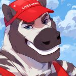  anthro blue_eyes blue_sky bust_portrait clothed clothing cloud corzh77 front_view fur glistening glistening_eyes grey_body grey_fur grin hi_res lifeguard looking_at_viewer male multicolored_body multicolored_fur portrait red_clothing red_topwear sky sky_background smile solo teeth topwear two_tone_body two_tone_fur white_body white_fur 