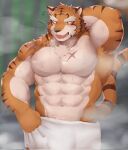  2022 abs anthro arm_scar biped body_scars clothed clothing detailed_background digital_drawing_(artwork) digital_media_(artwork) felid front_view fur grantly hi_res knights_college lef male mammal muscular muscular_anthro muscular_male open_mouth orange_body orange_eyes orange_fur pantherine pecs scar solo standing steam striped_body striped_fur stripes tiger topless towel towel_only white_body white_fur 