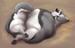  ambiguous_gender anthro artist_name big_butt butt canid closed_smile eyes_closed full-length_portrait fur grey_body grey_fur grey_tail hi_res huge_butt hyper hyper_butt lying mammal mouth_closed nude obese on_front overweight portrait roobin simple_background solo tail white_body white_fur white_tail 