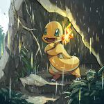  :d charmander commentary_request fangs flame-tipped_tail green_eyes no_humans open_mouth ototoi_(eevees813) outdoors pokemon pokemon_(creature) rain smile solo standing tongue 