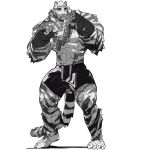  1boy abs animal_ears arknights bara black_shorts chain_necklace clenched_hands fighting_stance full_body furry furry_male highres jewelry large_pectorals male_focus mountain_(arknights) muscular muscular_male necklace nipples pants pectorals scar scar_across_eye scar_on_face short_hair shorts sketch solo stomach tail tail_ornament tail_ring thighs tiger_boy tiger_ears topless_male track_pants white_fur wincalblanke 