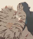  1boy 1other animal_ears arknights bara couple doctor_(arknights) fluffy furry furry_male furry_with_non-furry hinokumo_f hood hood_up interspecies large_hands male_focus mountain_(arknights) muscular muscular_male short_hair size_difference tiger_boy tiger_ears white_fur 