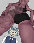  beastars butt canid canine canis clothing confusion duo female hand_on_butt hand_on_hip hi_res humanoid juno_(beastars) legoshi_(beastars) low-angle_view male male/female mammal skade_(artist) tail_fluff underwear wolf wolf_tail 