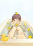  aihara_kaichi barefoot bath bathtub blush brown_eyes brown_hair feet flat_chest kimi_kiss legs nude rubber_duck satonaka_narumi short_hair solo toes water 
