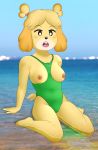  2019 5_fingers absurd_res animal_crossing anthro big_breasts biped black_nose blush breasts buffbumblebee_(artist) canid canine canis clothed clothing digital_drawing_(artwork) digital_media_(artwork) domestic_dog exposed_breasts eyebrows eyelashes female front_view fur hair hi_res isabelle_(animal_crossing) kneeling mammal multicolored_fur nintendo nipples one-piece_swimsuit open_mouth outside partially_clothed partially_submerged pigtails seaside shih_tzu solo sport_swimsuit surprise swimsuit teeth tight_clothing toes tongue video_games water yellow_fur 