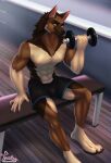  4322chan anthro bench bottomwear brown_body brown_fur canid canine canis clothing detailed_background domestic_dog dumbbell exercise fur german_shepherd gym gym_bottomwear gym_clothing gym_shorts herding_dog hi_res looking_at_viewer male mammal orange_eyes pastoral_dog shorts sitting smile solo weights 