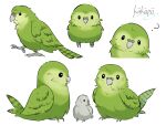  ? absurdres animal_focus bird commentary_request green_bird highres kakapo napote no_humans original simple_background white_background 