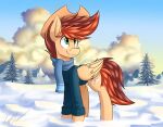  2020 absurd_res clothing cloud cowboy_hat cutie_mark digital_media_(artwork) equid equine fan_character feathered_wings feathers feral folded_wings green_eyes hair hasbro hat headgear headwear hi_res kayle_rustone_(oc) kaylerustone looking_up male mammal mane my_little_pony outside pegasus plant red_hair red_mane red_tail scarf smile snow tail tan_body tan_feathers topwear tree wings winter 