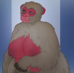  abstract_background age_difference anthro black_fingers breasts bumpy_areolas deermary exposed_breasts female fur grey_body grey_eyes grey_fur haplorhine japanese_macaque macaque mammal mature_female monkey nipples nude old old_world_monkey older_female overweight overweight_anthro overweight_female pink_body primate sagging_breasts solo thick_thighs wide_hips 