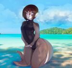  2021 anthro artist_name beach biped black_clothing black_one-piece_swimsuit black_swimwear brown_hair bulge clothed clothing cloud countershade_face countershade_scales countershade_tail countershading crossdressing digital_media_(artwork) dizzyt ear_fins eyebrow_through_hair eyebrows fin fish girly grey_body grey_scales grin hair hi_res kneeling male marine navel_outline one-piece_swimsuit outside purple_eyes scales seaside shaded shark sky smile solo swimwear tail translucent translucent_hair wet wet_body wet_scales wet_swimwear white_body white_scales 