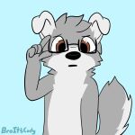  1:1 2020 anthro black_nose blue_background broitscody brown_eyes canid canine canis chest_tuft cody_(broitscody) eyewear floppy_ears fur glasses grey_body grey_fur grey_hair grey_tail hair hi_res male mammal monotone_ears monotone_hair multicolored_body multicolored_fur simple_background solo tail tuft two_tone_body two_tone_fur two_tone_tail watermark white_body white_ears white_fur white_tail wolf 