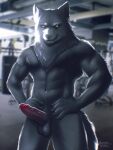  absurd_res anthro berry_tail canid canine canis fur genitals glowing glowing_eyes grey_body grey_fur gym hi_res humanoid_genitalia humanoid_penis male mammal muscular muscular_male nude nude_male penis solo standing wolf 