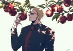  1boy absurdres apple black_shirt blonde_hair branch donquixote_doflamingo earrings eyes_visible_through_eyewear food fruit highres jewelry long_sleeves mature_male muscular muscular_male necktie one_piece outdoors red_necktie shirt short_hair sk_c_ii sunglasses sunlight upper_body white-framed_eyewear 