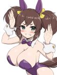  1girl animal_ears bow bowtie breasts brown_hair cleavage clenched_teeth detached_collar ear_covers fang green_eyes horse_ears horse_girl horse_tail inari_one_(umamusume) large_breasts leotard long_hair nontraditional_playboy_bunny pataneet purple_bow purple_bowtie purple_leotard rabbit_pose simple_background solo strapless strapless_leotard tail teeth twintails umamusume white_background wrist_cuffs 