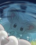  chira_(riiche573) cinccino commentary_request day grass highres looking_down no_humans outdoors pokemon pokemon_(creature) reflection ripples twitter_username water watermark 