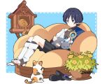  1boy animal_on_lap artist_name bangs bean_bag_chair black_hair black_shirt black_shorts blue_background blue_cape blue_eyes blunt_ends border bridal_gauntlets cape cat cat_on_lap cat_tower closed_mouth commentary english_commentary expressionless flower full_body genshin_impact hakama hakama_shorts jacket japanese_clothes male_focus n4391 off_shoulder on_lap open_clothes open_jacket outside_border parted_bangs plant pom_pom_(clothes) potted_plant sandals sandals_removed scaramouche_(genshin_impact) shirt short_hair short_sleeves shorts sidelocks simple_background sitting sleeveless sleeveless_shirt solo stirrup_legwear toeless_legwear twitter_username vision_(genshin_impact) wanderer_(genshin_impact) white_border white_jacket yellow_flower 
