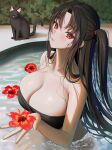  1girl bangs bikini black_hair breasts cat flower head_tilt highres holding holding_flower in_water large_breasts long_hair looking_at_viewer parted_bangs red_eyes side_ponytail solo strapless strapless_bikini swimsuit tokkihouse water 