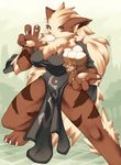  animal_ears arcanine china_dress chinadress chinese_clothes dress fang fighter fighting_stance food furry genderswap highres meat_bun nikuman pokemon tail 
