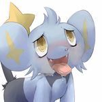  ahegao blush comedy feral funny furry horny lol naughty_face pokemon saliva shinx taichi_(tomo) tongue 