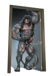  absurd_res accessory anthro balls big_muscles black_body black_fur black_hair claws erection facial_hair felid fur furgonomics genitals goatee hair hi_res humanoid_genitalia humanoid_penis jewelry long_hair looking_at_viewer male mammal masayoshi_(albus777) muscular muscular_anthro muscular_male necklace pantherine penis pubes raytig12 red_eyes smile solo standing_in_doorway tail tail_accessory tail_jewelry 
