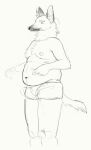  2020 anthro belly briefs briefs_only canid canine canis cettus clothed clothing leggy_(cettus) male mammal maned_wolf moobs nipples overweight overweight_anthro overweight_male solo standing topless underwear underwear_only wolf 