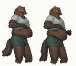  2020 angry anthro belly belly_drop briefs brown_body brown_fur cettus clothed clothing clothing_lift fisher_(animal) frown fur gulonine hi_res holding_stomach keld_pederson looking_at_belly looking_down male mammal midriff mustelid musteline overweight overweight_anthro overweight_male sequence shirt shirt_lift simple_background solo standing topwear underwear white_background 