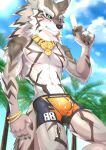  2023 4_fingers anthro athletic athletic_anthro athletic_male black_sclera blush brown_body brown_fur bulge canid canine canis clothing dessert ear_piercing fingers food fur gold_(metal) gold_jewelry green_eyes hi_res hiei0221 ice_cream jackal jewelry lifewonders looking_at_viewer male mammal piercing seth_(tas) solo striped_body striped_fur stripes swimwear tokyo_afterschool_summoners white_body white_fur 