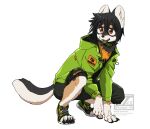  anthro black_bottomwear black_clothing black_hair black_shorts bottomwear brown_eyes canid canine canis claws clothing collar crouching domestic_dog fingers fur furgonomic_footwear green_clothing green_collar green_jacket green_topwear hair hi_res jacket konjac_ex male mammal multicolored_body multicolored_fur open_mouth open_smile shorts smile solo teeth topwear 