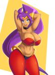  1girl absurdres armpits black_choker breasts choker cowboy_shot curvy earrings harem_pants highres jewelry large_breasts linkxs midriff navel o-ring pants plump pointy_ears ponytail purple_hair see-through shantae shantae_(series) simple_background solo stomach sweat tan thick_thighs thighs tiara 
