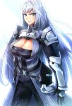  1girl armor bangs blue_eyes breast_tattoo breasts cleavage cleavage_cutout closed_mouth clothing_cutout ethel_(xenoblade) gloves grey_hair highres large_breasts long_hair looking_at_viewer shoulder_armor simple_background smile solo tattoo to_(tototo_tk) very_long_hair xenoblade_chronicles_(series) xenoblade_chronicles_3 