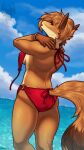  anthro beach bikini brahkest butt canid canine clothing female fox hair mammal rear_view red_fox red_hair sasha_(metriccaboose) seaside solo swimwear 