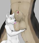  animal_genitalia anthro ball_fondling balls canid canine canis cj_fauxx~ duo fondling genitals hi_res hyper lazywolf licking male male/male mammal sheath size_difference tongue tongue_out were werecanid werecanine werewolf wolf woofy 