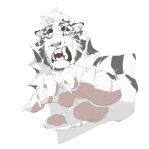  1boy animal_ears arknights bara blue_eyes cropped_torso facial_hair furry furry_male goatee hand_focus large_hands looking_at_viewer male_focus mountain_(arknights) muscular muscular_male scar scar_across_eye scar_on_hand short_hair solo surprised thick_eyebrows tiger_boy tiger_ears white_fur white_hair wide-eyed wincalblanke 
