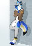  absurd_res anthro blue_body blue_eyes blue_fur canid canine clothing fox fur hi_res jacket male mammal shimmi_(artist) smile solo topwear wall_(structure) 