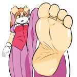  2023 4_toes anthro barefoot custard_killer feet female foot_focus hi_res humanoid_feet lagomorph leporid low-angle_view mammal plantigrade rabbit sega simple_background soles solo sonic_the_hedgehog_(series) stomping toes vanilla_the_rabbit white_background worm&#039;s-eye_view 