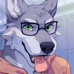 1:1 anthro black_nose bust_portrait canid cheek_tuft clothed clothing corzh77 facial_tuft fangs fur green_eyes grey_body grey_ears grey_fur head_tuft hi_res inside locker_room looking_at_viewer male mammal open_mouth portrait solo teeth tongue tongue_out tuft white_body white_fur 