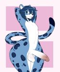  anthro balls biped blep blue_body erection felid genitals girly hands_behind_head hi_res male mammal oro97 penis simple_background solo spots tongue tongue_out white_body 