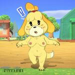  1:1 animal_crossing anthro band1tnsfw blush blush_lines camp canid canine canis digital_drawing_(artwork) digital_media_(artwork) domestic_dog female female_focus genitals hi_res isabelle_(animal_crossing) looking_at_self mammal nintendo nude portrait pussy shaded simple_shading solo surprise surprised_expression 