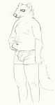  2020 anthro belly briefs briefs_only bulge cettus clothed clothing gulonine holding_stomach looking_down male mammal marten mustelid musteline sketch slightly_chubby slightly_chubby_anthro slightly_chubby_male solo standing topless underwear underwear_only 